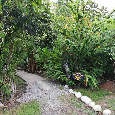 Finca Kobo Palo Seco 外观 照片