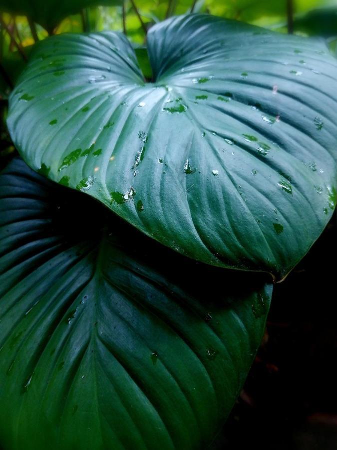Finca Kobo Palo Seco 外观 照片