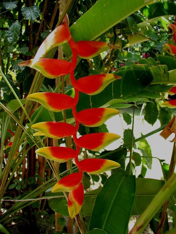 Finca Kobo Palo Seco 外观 照片