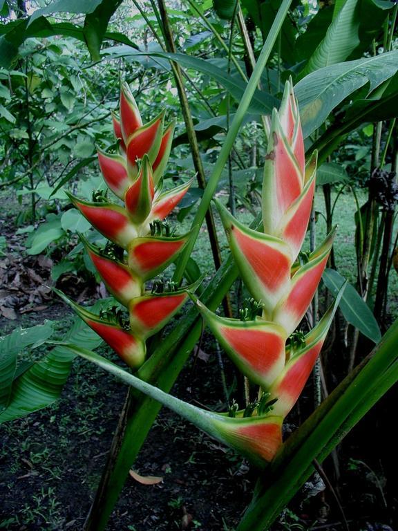 Finca Kobo Palo Seco 外观 照片