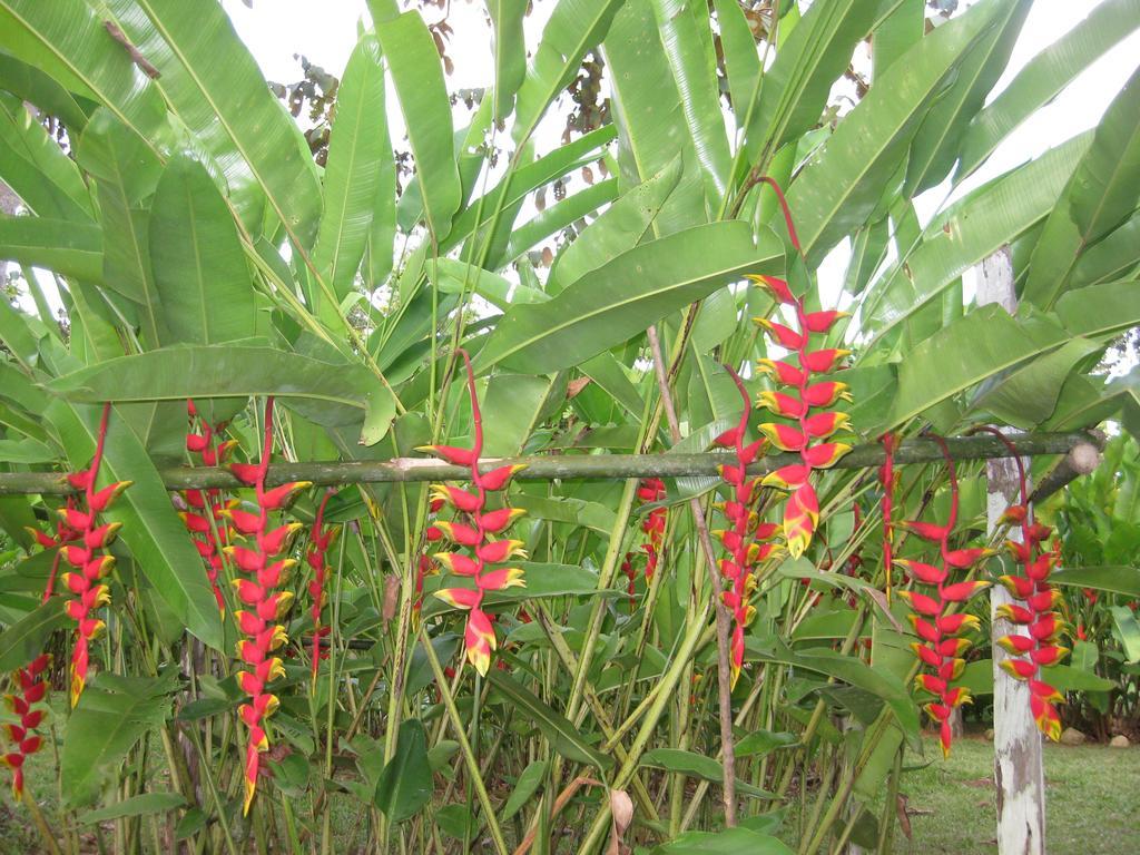 Finca Kobo Palo Seco 外观 照片
