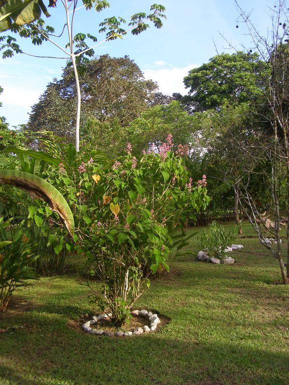 Finca Kobo Palo Seco 外观 照片