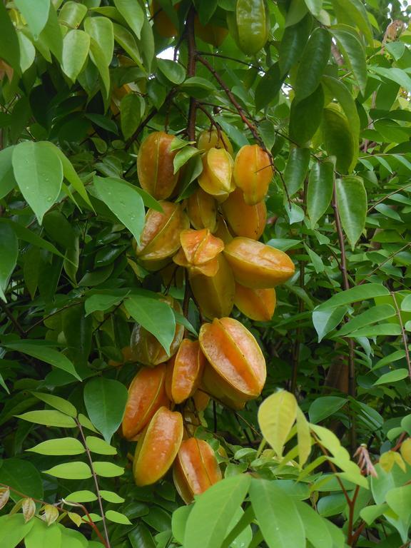 Finca Kobo Palo Seco 外观 照片